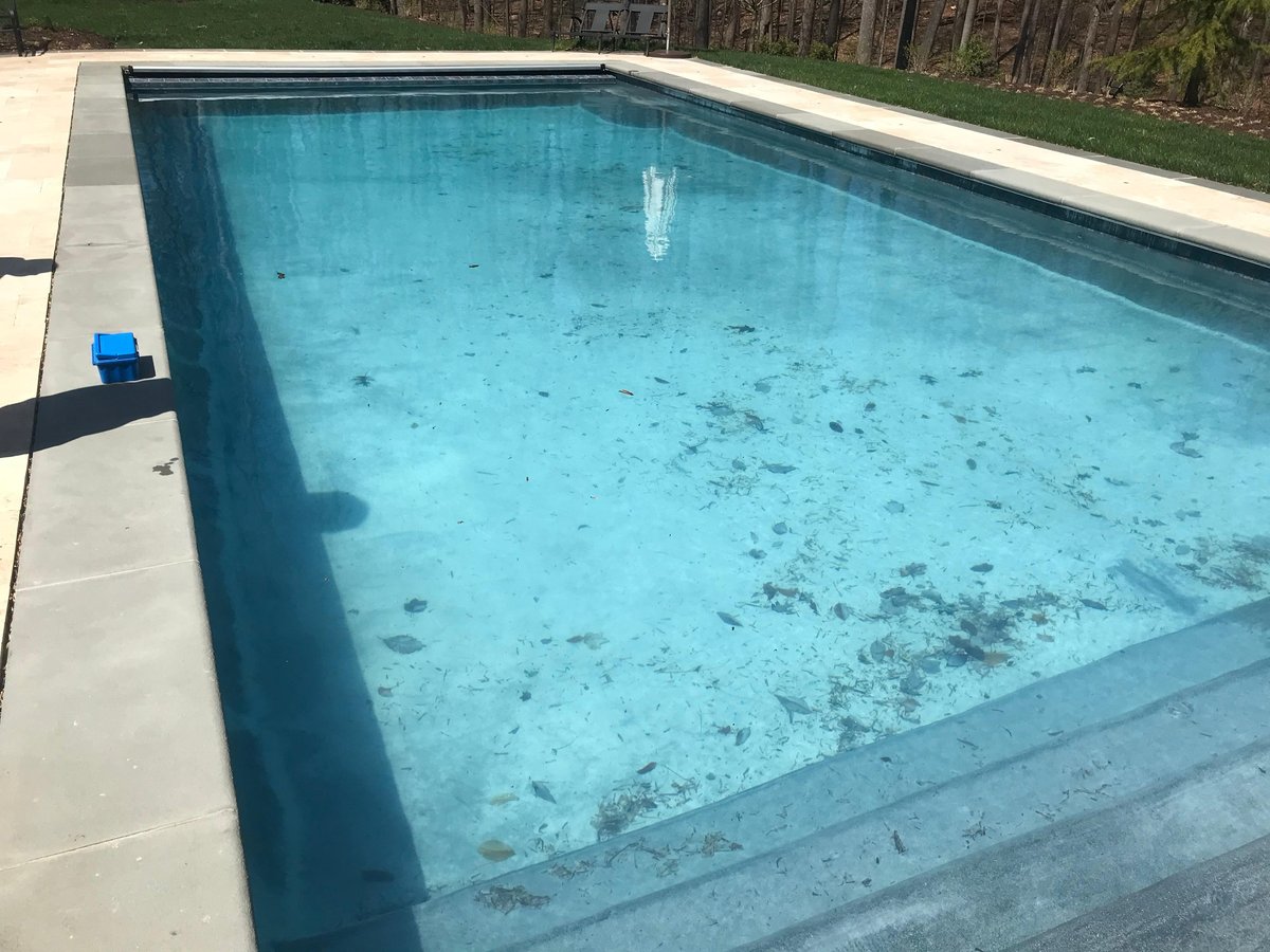 3 Types of Calcium Dust in Swimming Pools